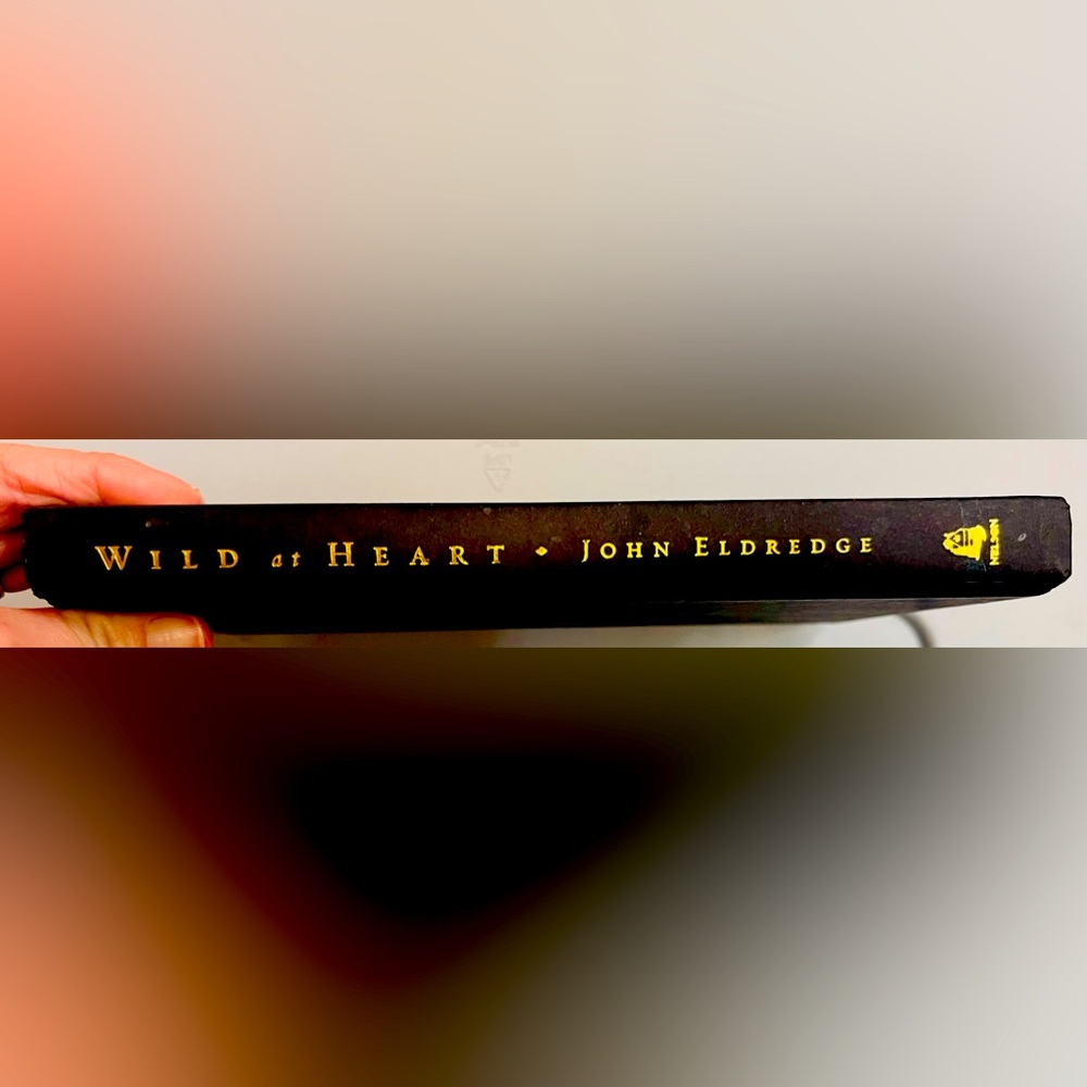 Wild at Heart by John Eldredge